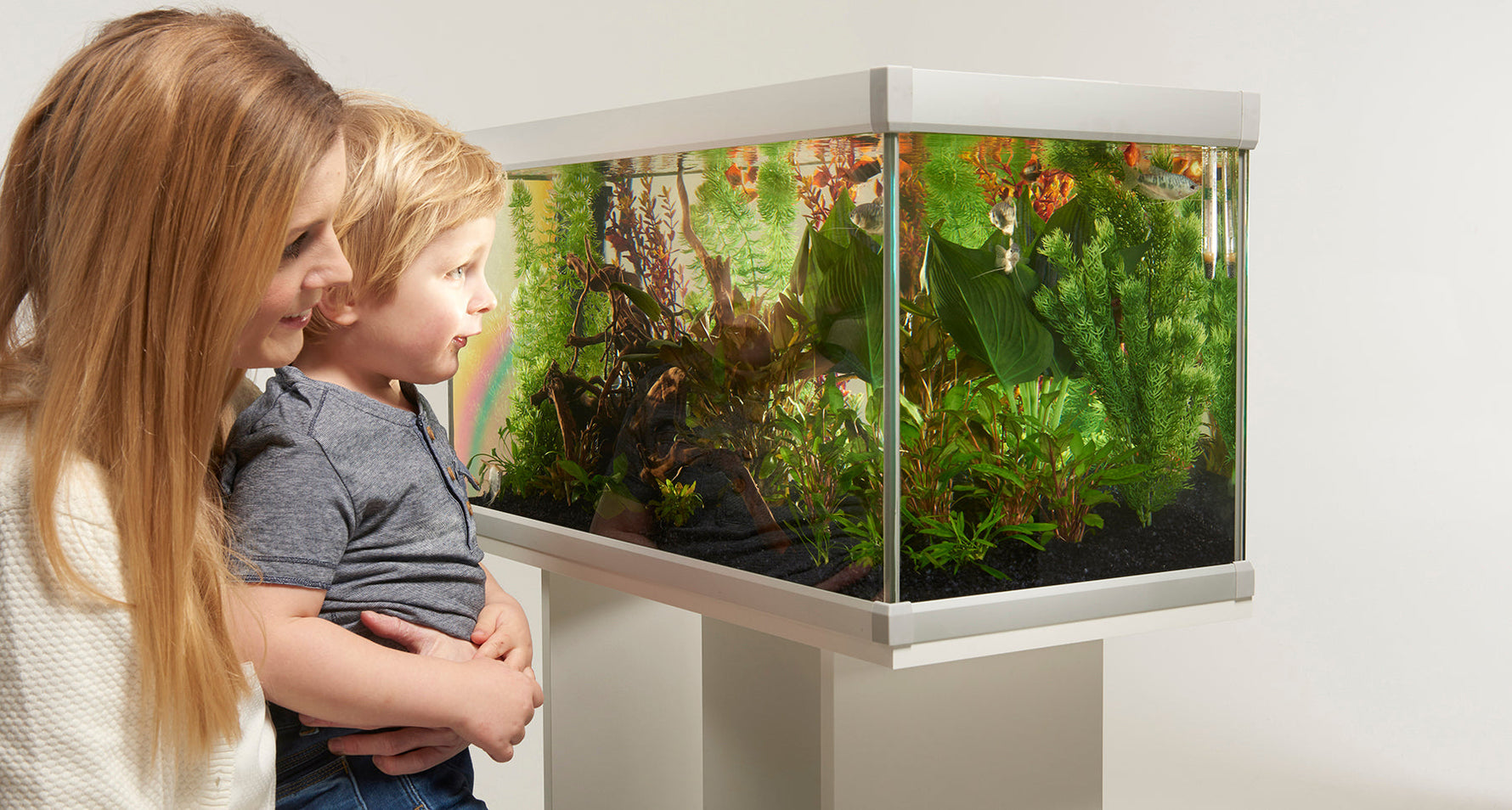 Sådan vælger du det rigtige akvarie