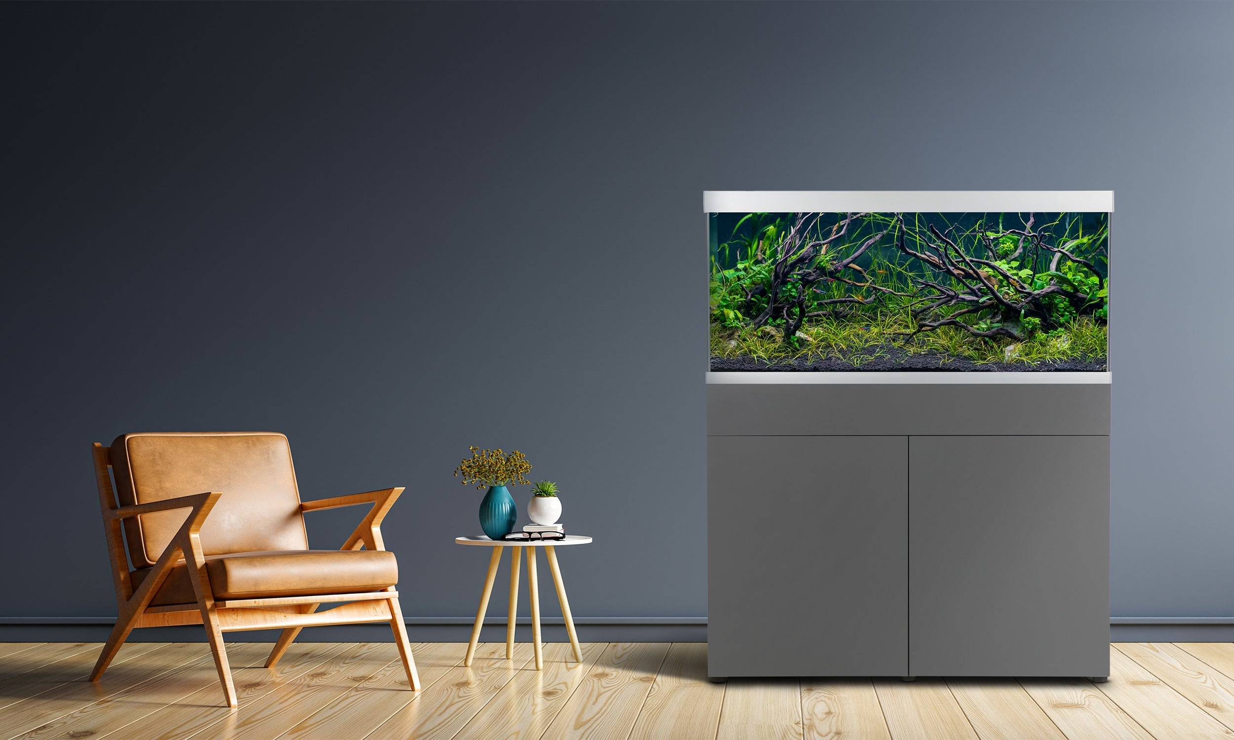 Kom godt igang med akvariet