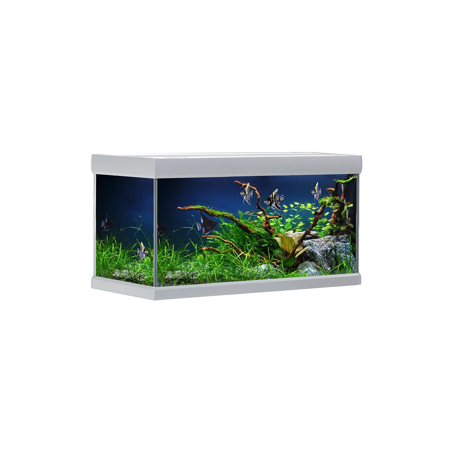 FUSION akvarium - 144 L