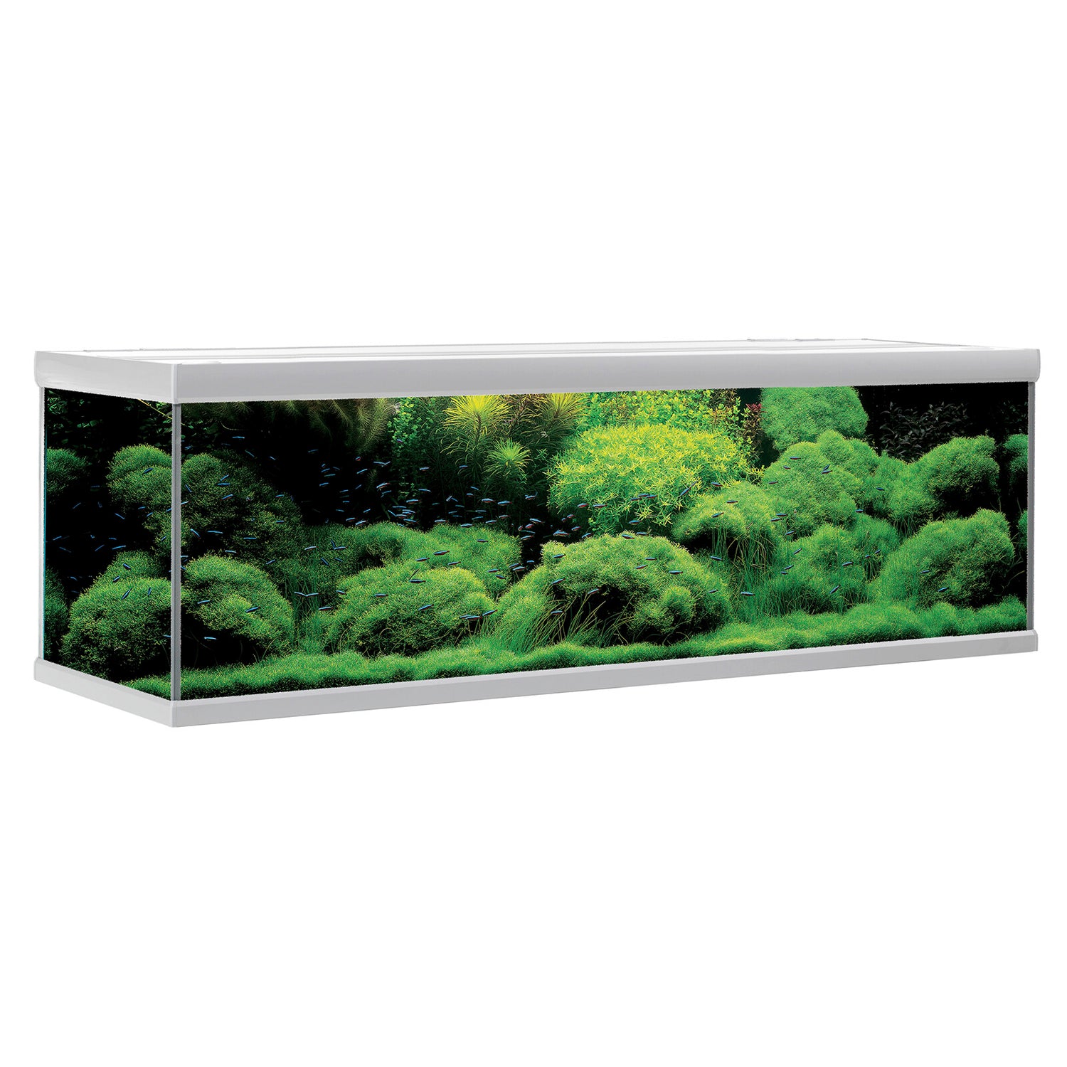 FUSION akvarium - 720 L