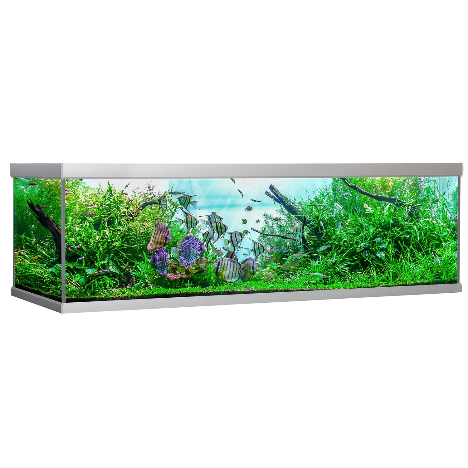 FUSION akvarium - 900 L