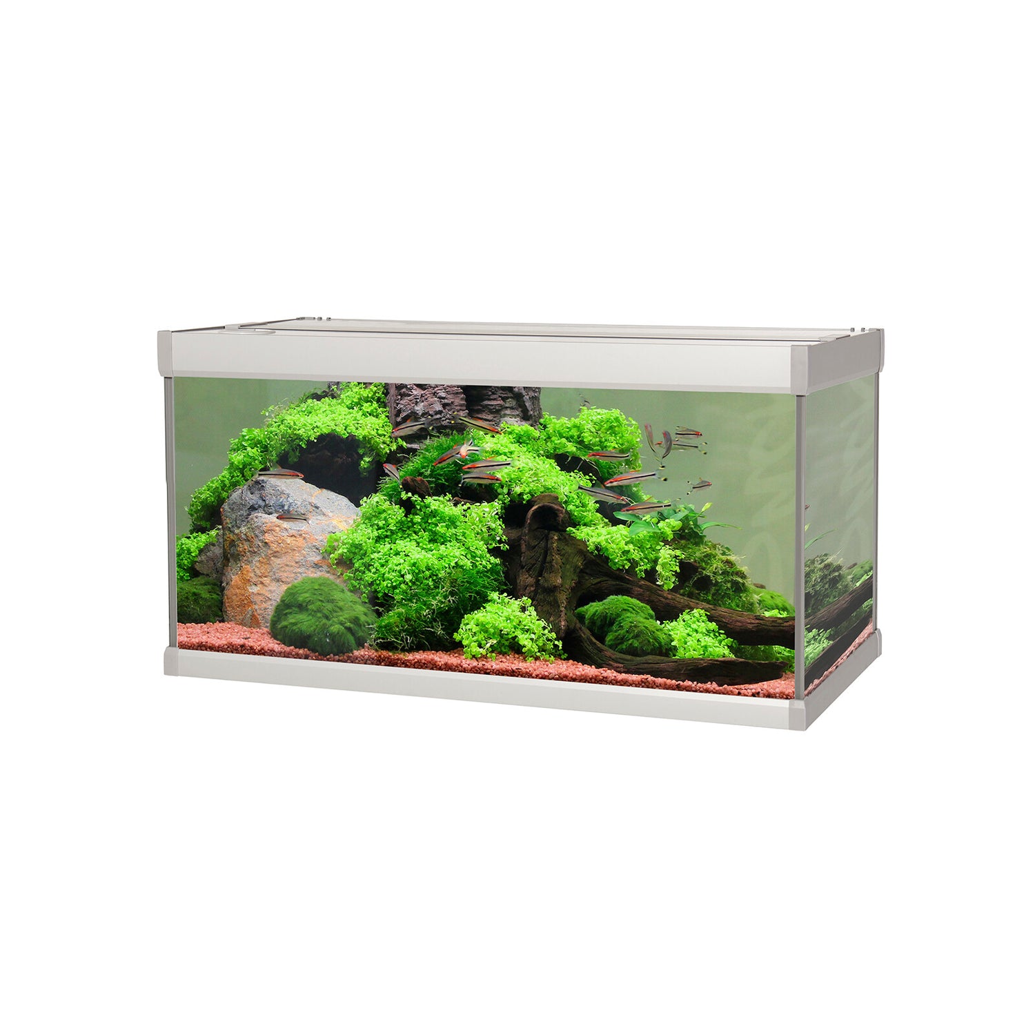 FAMILY akvarium - 54 liter