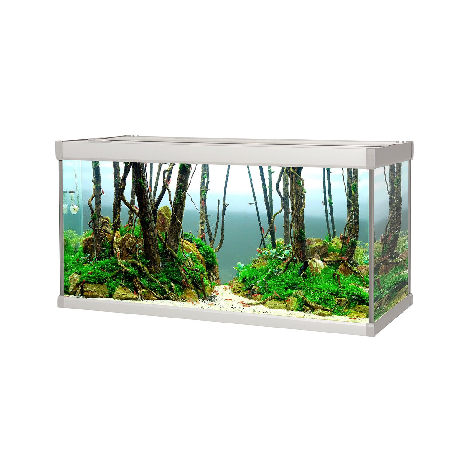 FAMILY akvarium - 80 liter