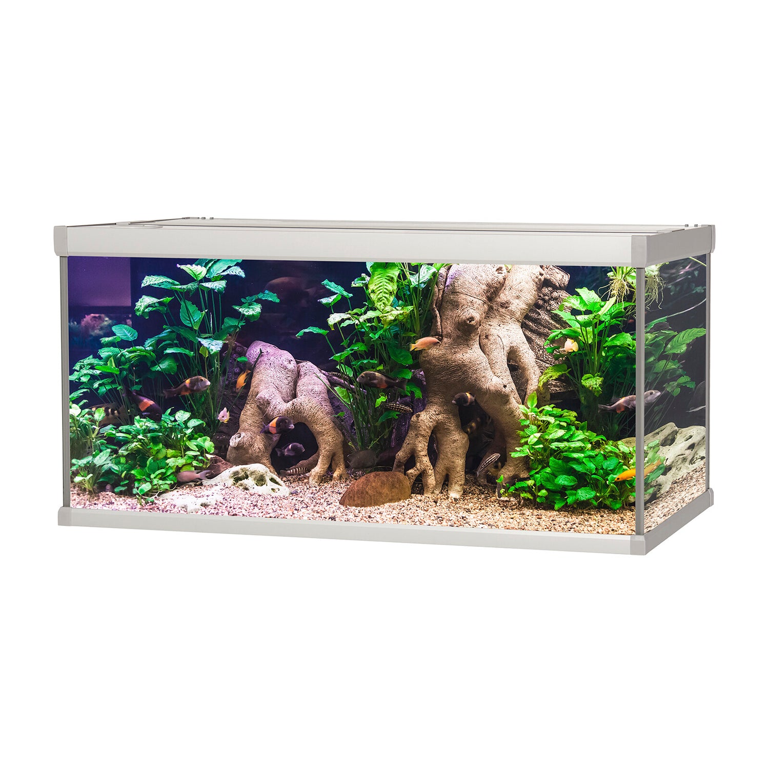 FAMILY akvarium - 112 liter