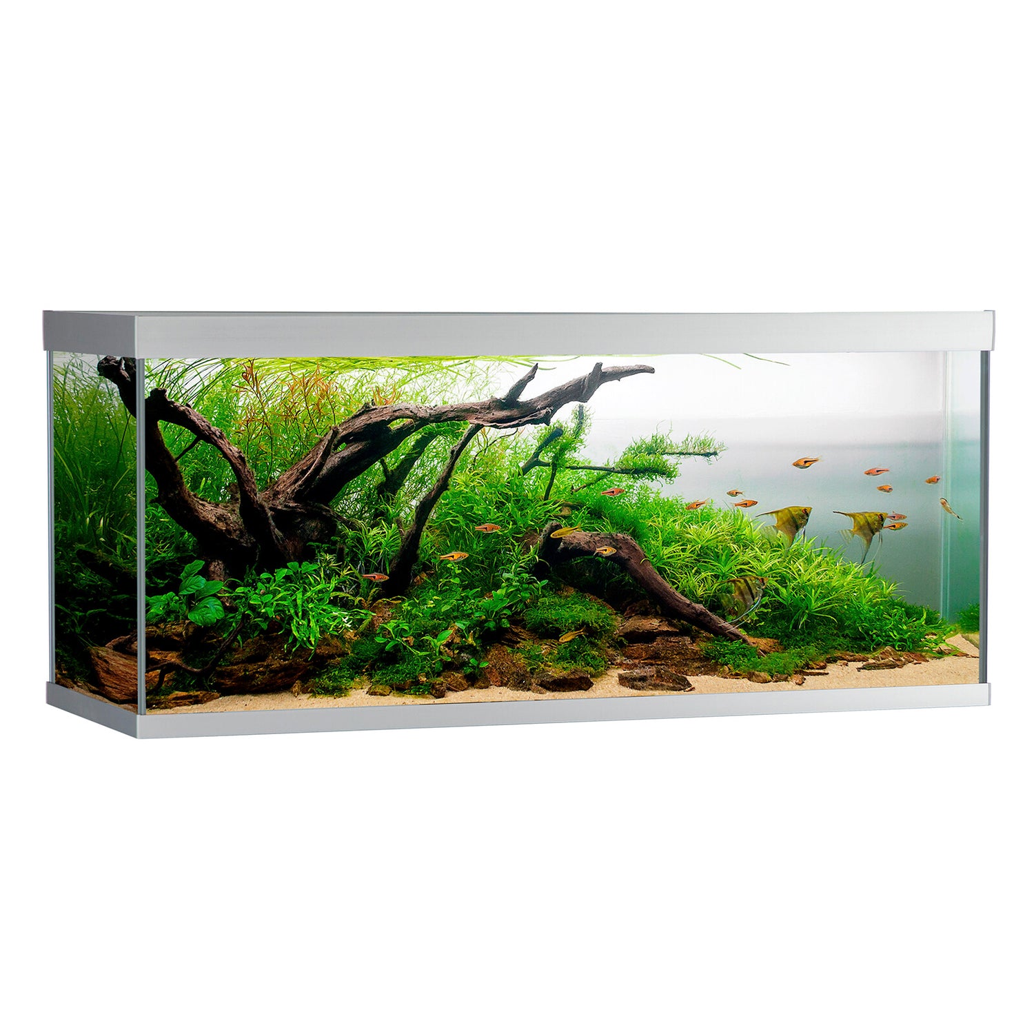 ELEMENT Akvarium - 240 liter