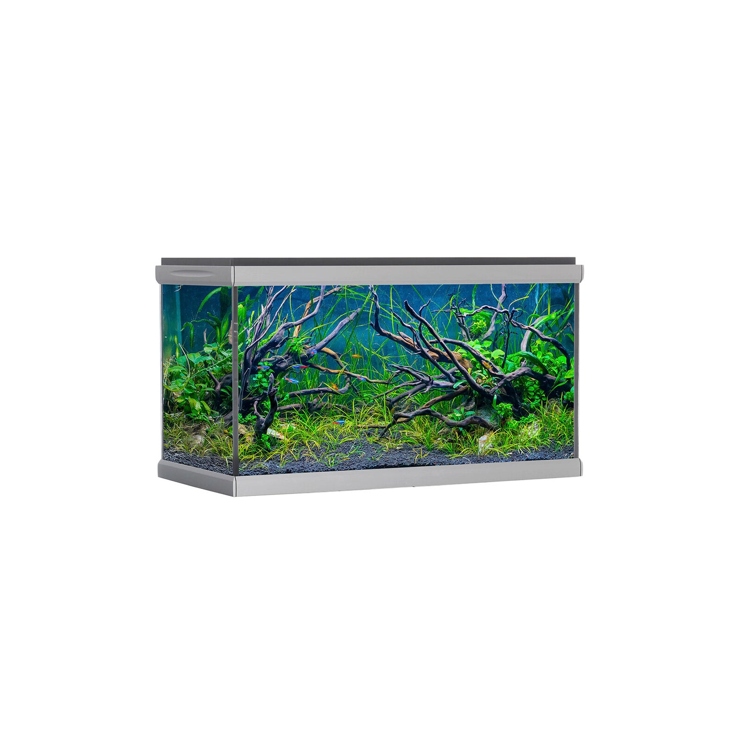 MOVE akvarium - 275 liter