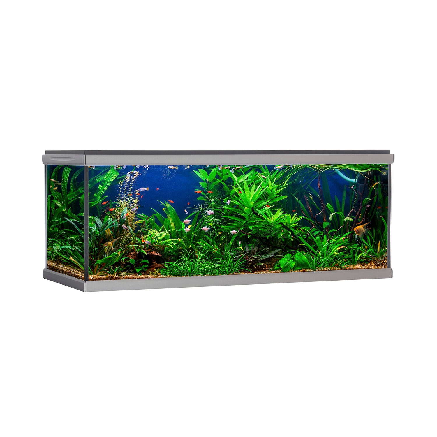 MOVE akvarium - 576 liter