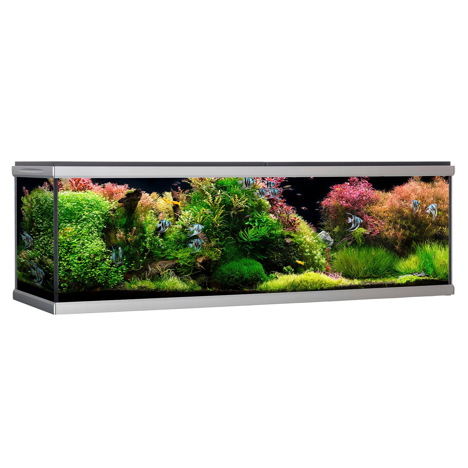 MOVE akvarium - 720 liter